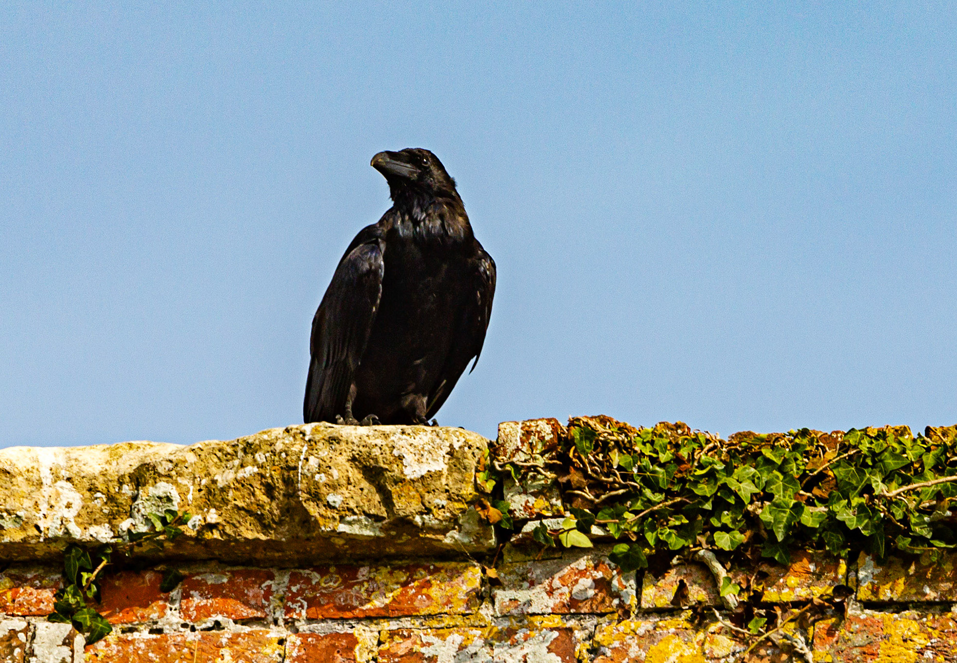 Old St Helen's Church Duver IOW 16 July 2022