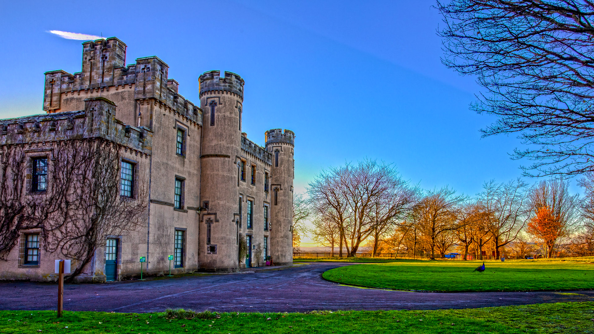 House of the Binns 30 November 2025