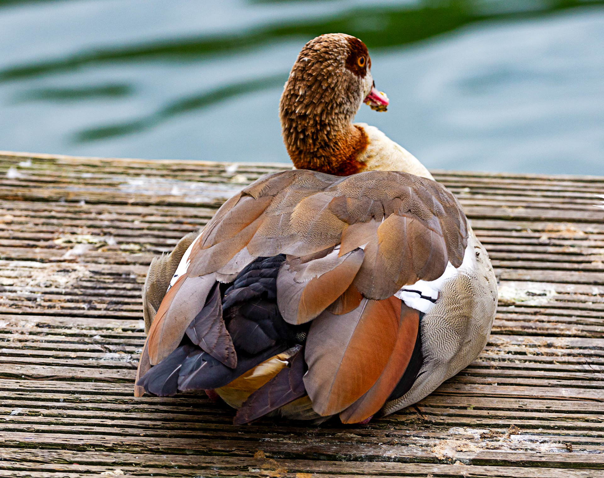 Reading 07 June 2024