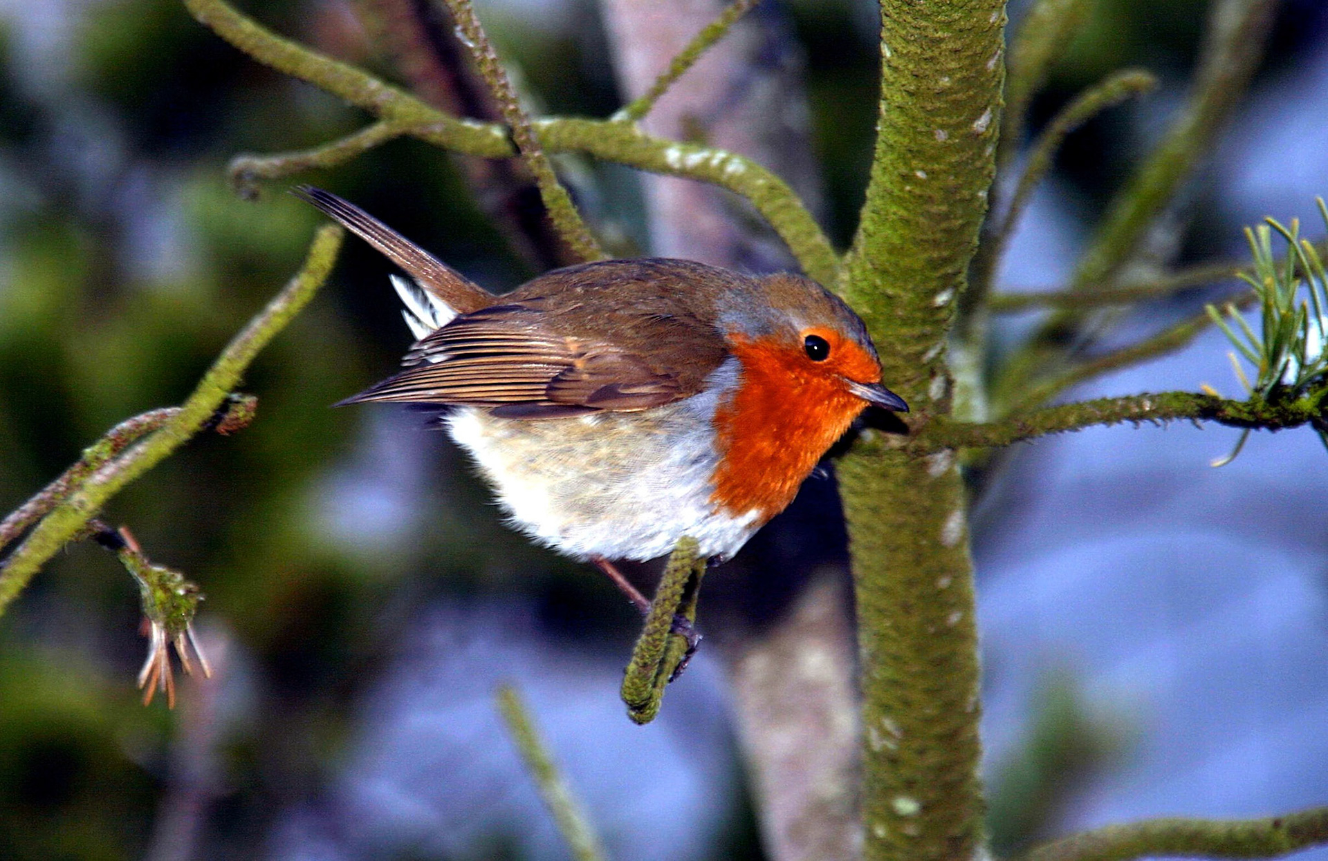 PeterheadPlease see my other Photographs at: http://www.jamespdeans.co.uk/