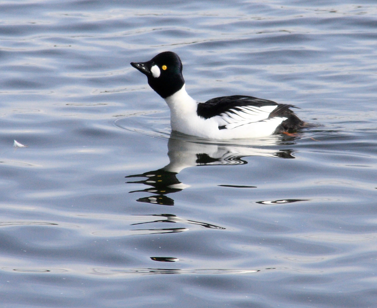Hugganfield Loch Please see my other Photographs at: http://www.jamespdeans.co.uk/