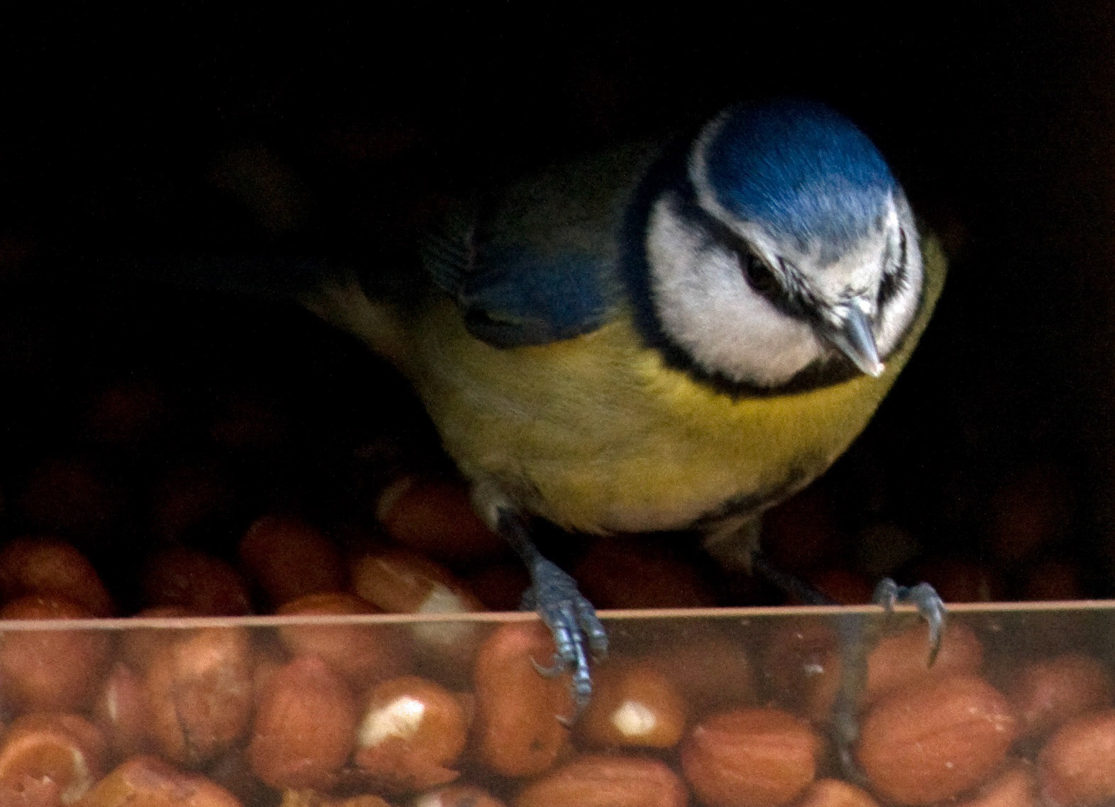 PerthshirePlease see my other Photographs at: http://www.jamespdeans.co.uk/