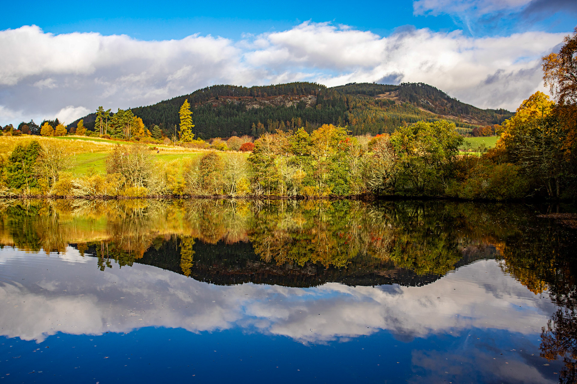The Cuilc, Pitlochry. Autumnal Tour around Perthshire 19 October 2024
