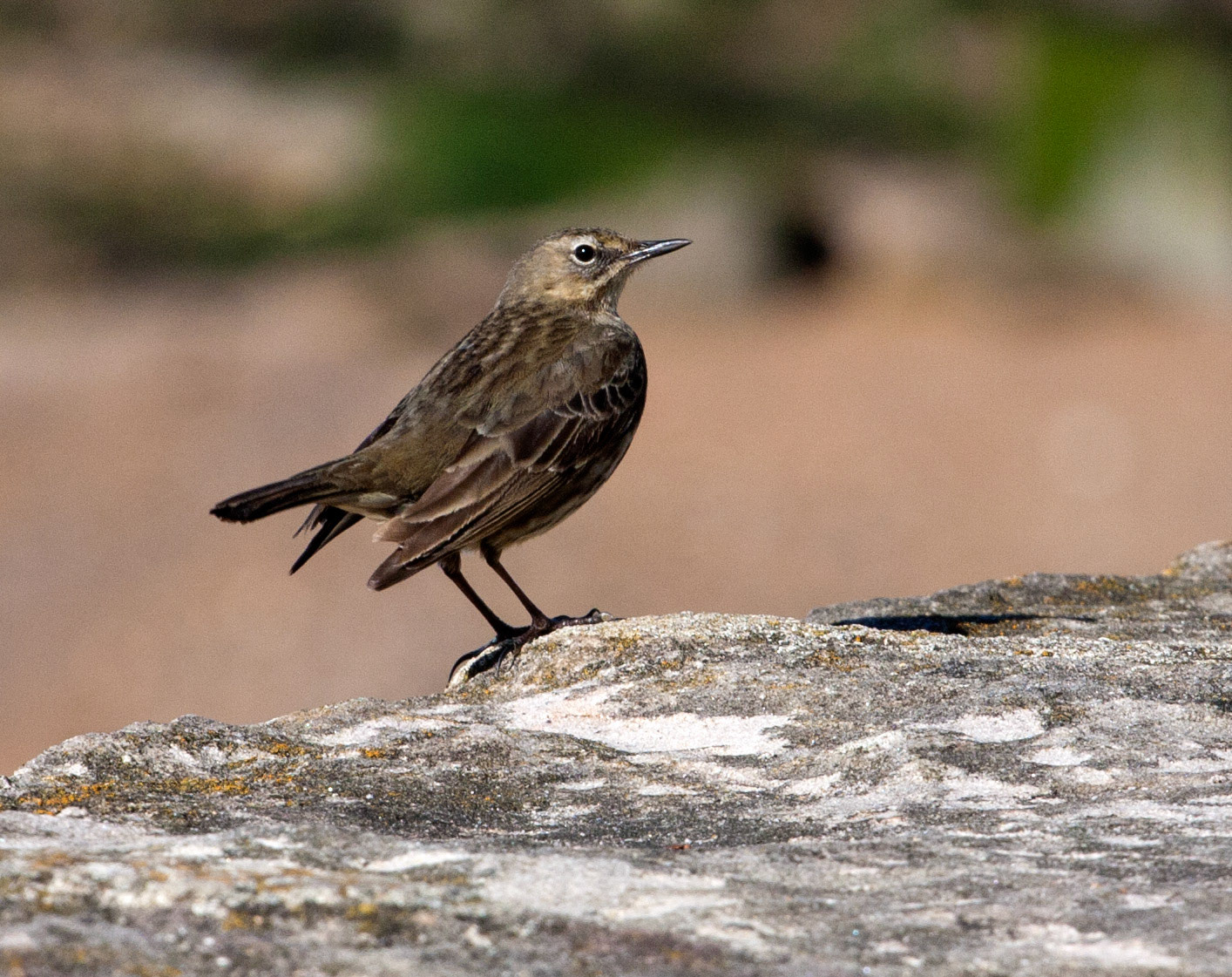 AnstrutherPlease see my other Photographs at: http://www.jamespdeans.co.uk/