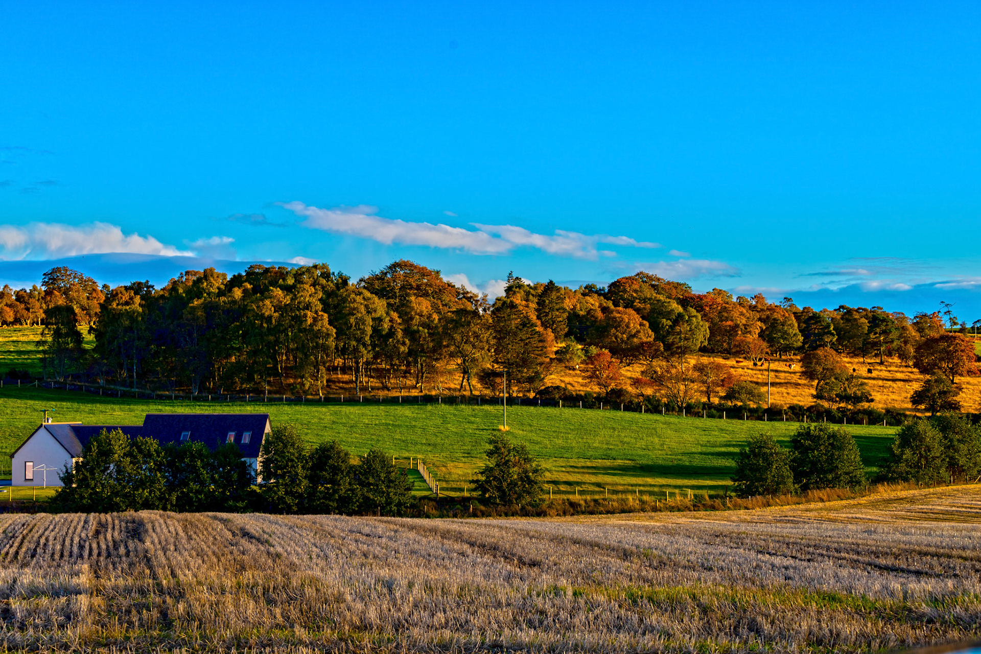 Autumn in Aberdeenshire 14 to 16 October 2022