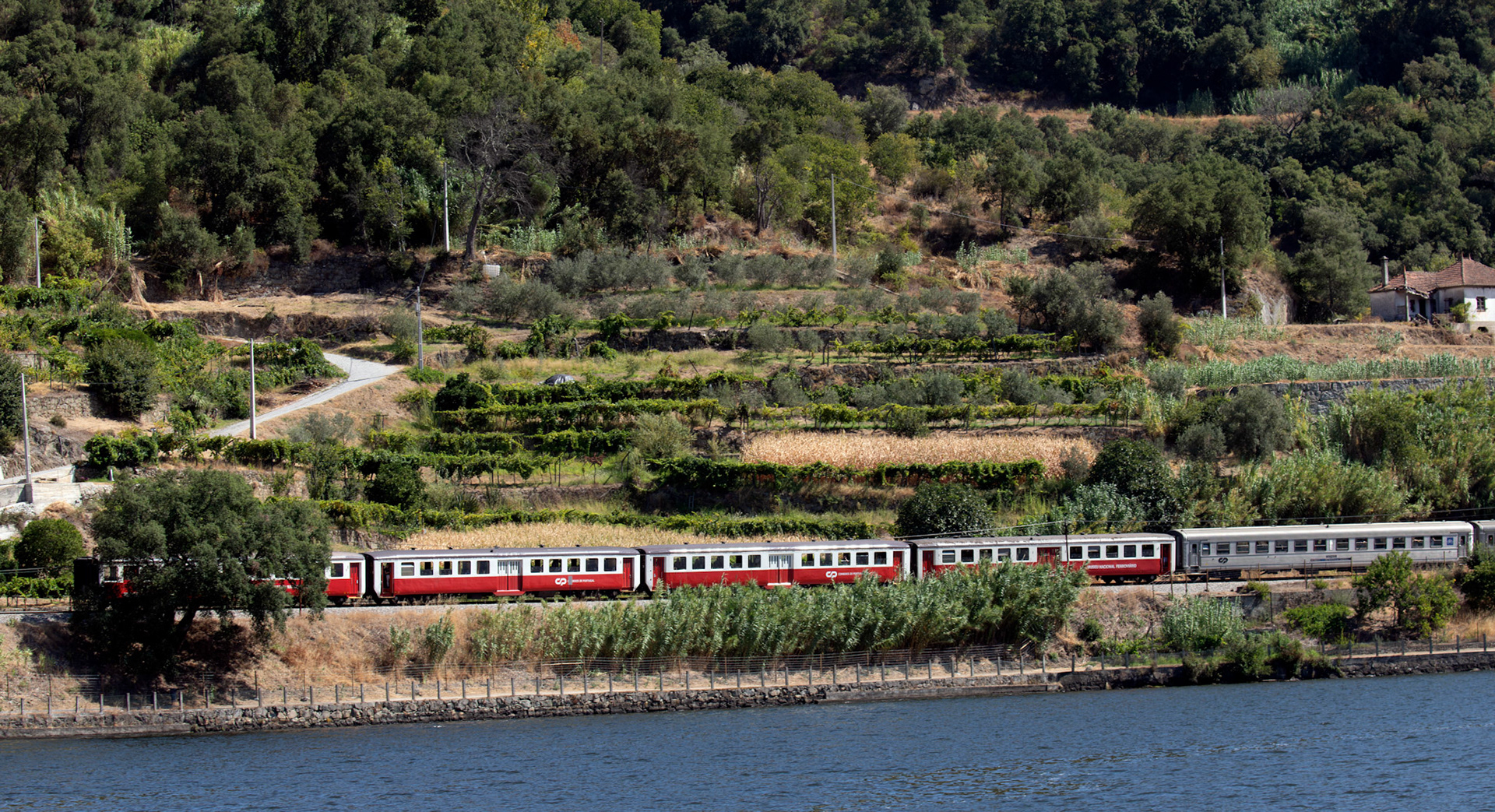 Douro cruise 21 August 2026
