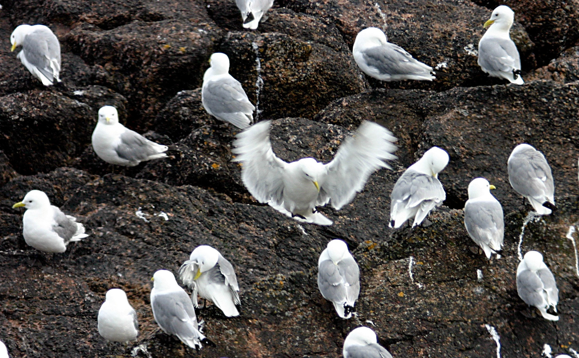 Cruden BayPlease see my other Photographs at: http://www.jamespdeans.co.uk/