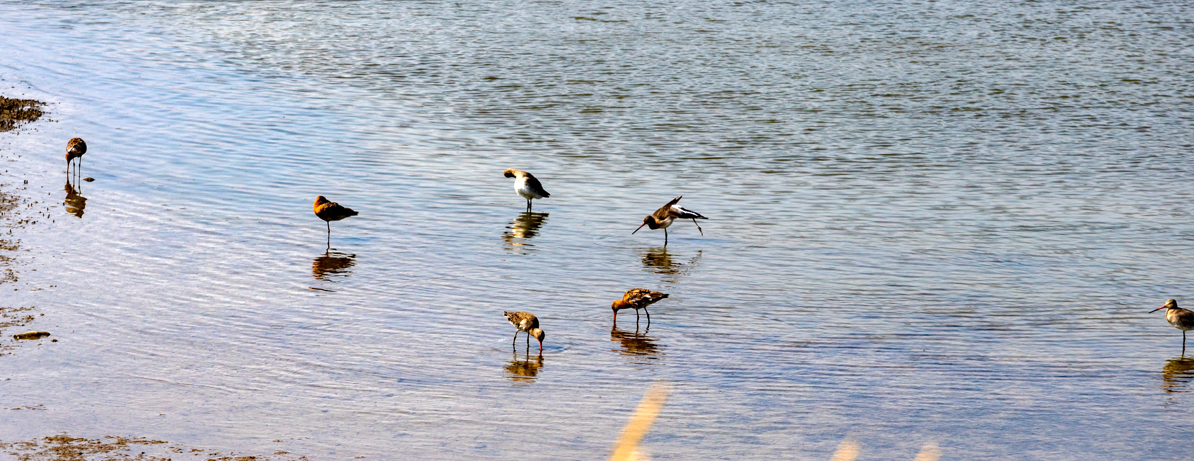 Titchfield Haven 20 July 2022
