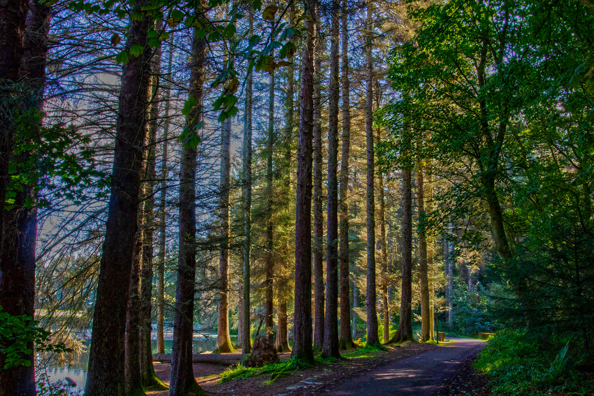 Beecraigs 24 Sept 2025