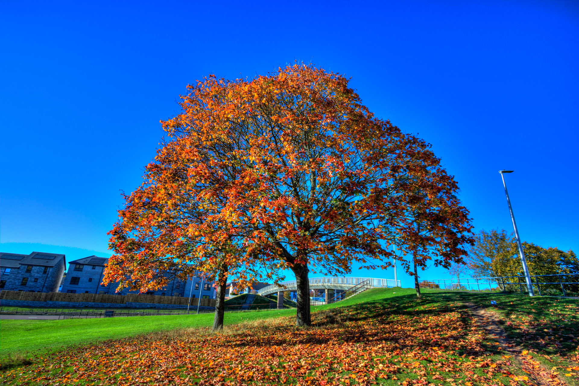 Dundee 15 October 2025