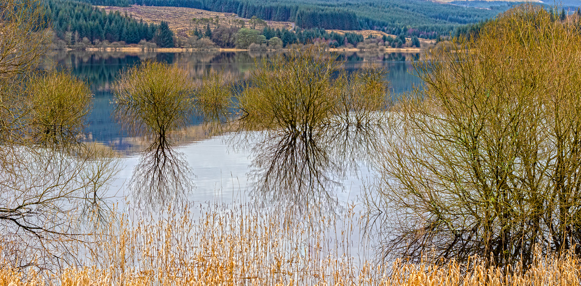 Carron Valley Reservoir 28 February 2026