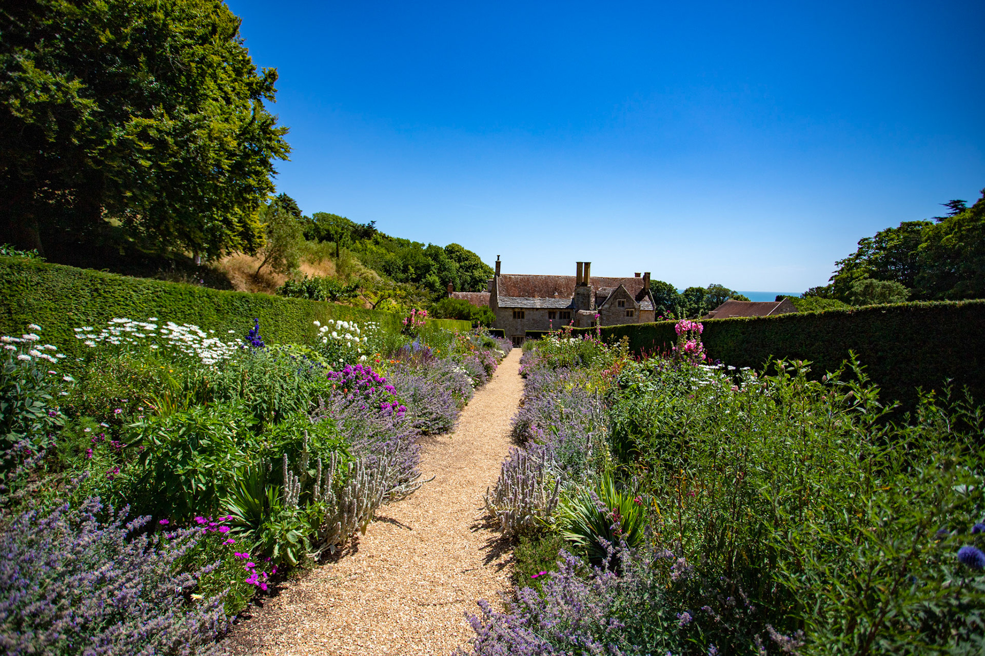 Mottistone IOW 16 July 2022