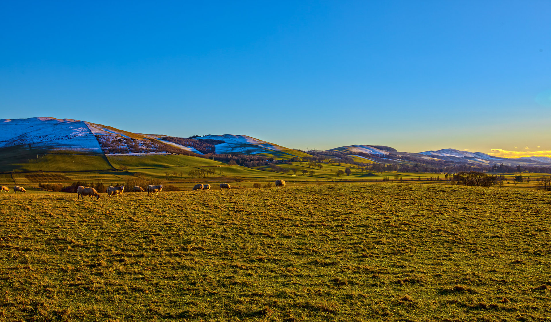 View from B7016 between Broughton and Biggar 07 March 2026
