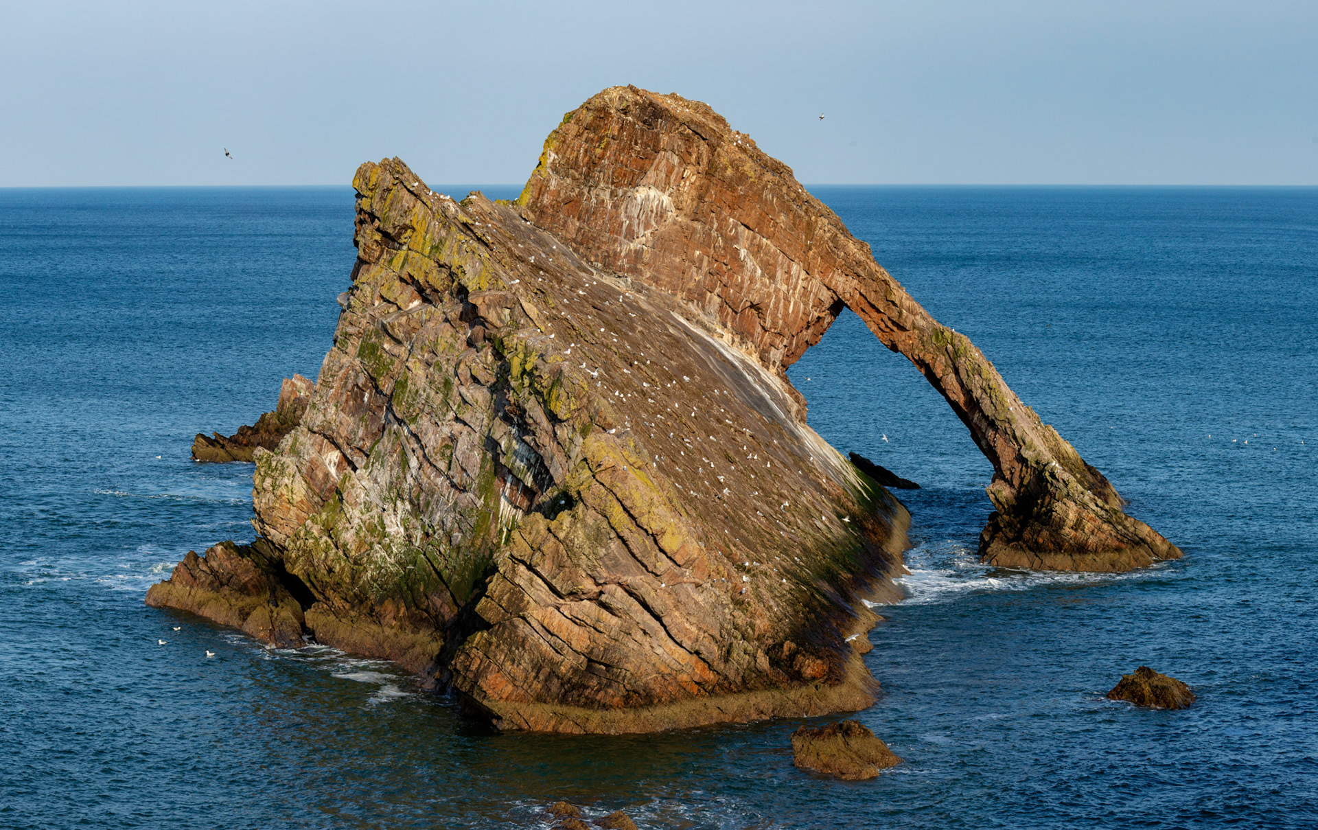 Bow Fiddle Rock at Portknockie 05 March 2026