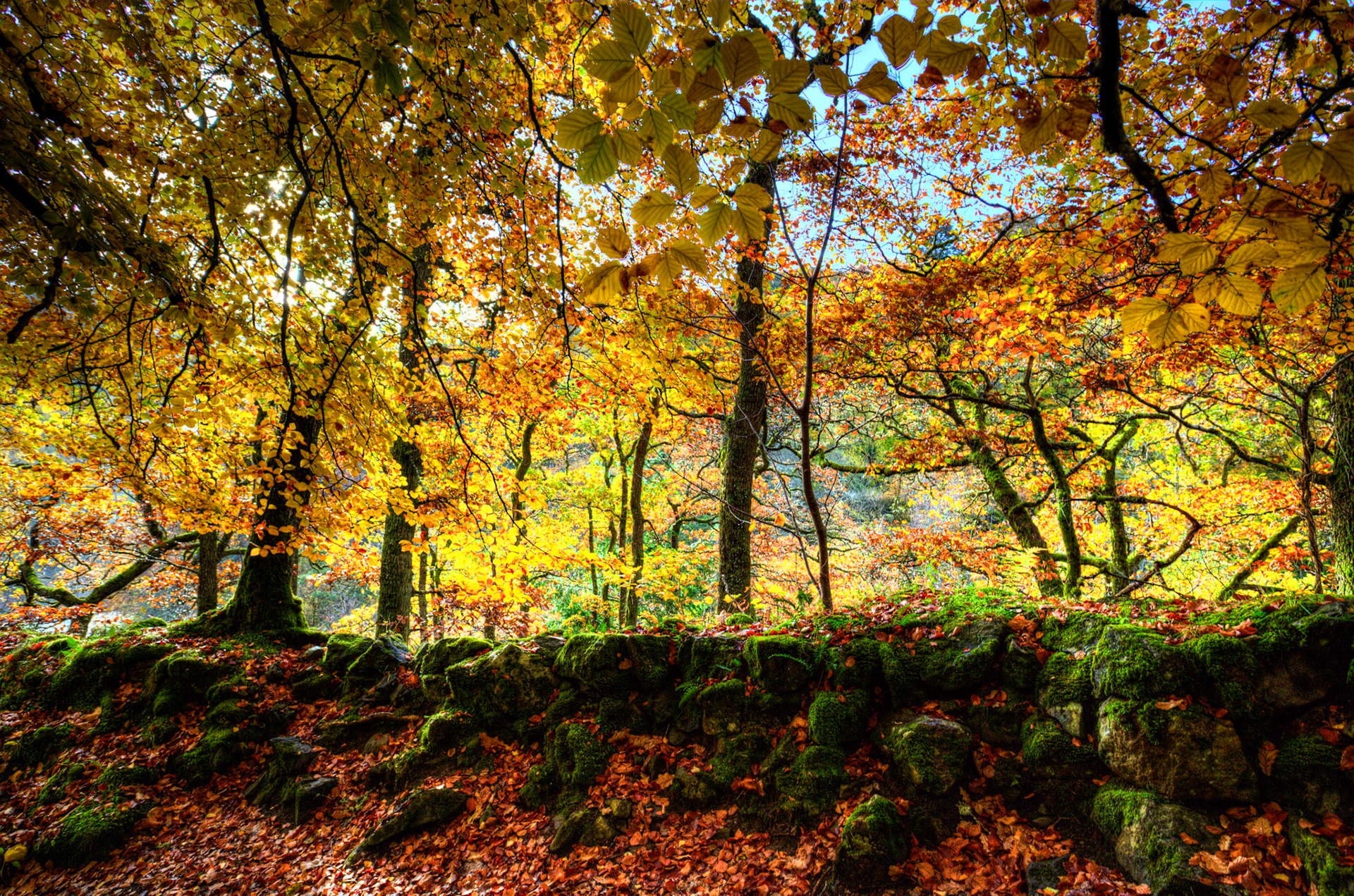 Killiecrankie. Autumnal Tour around Perthshire 19 October 2024