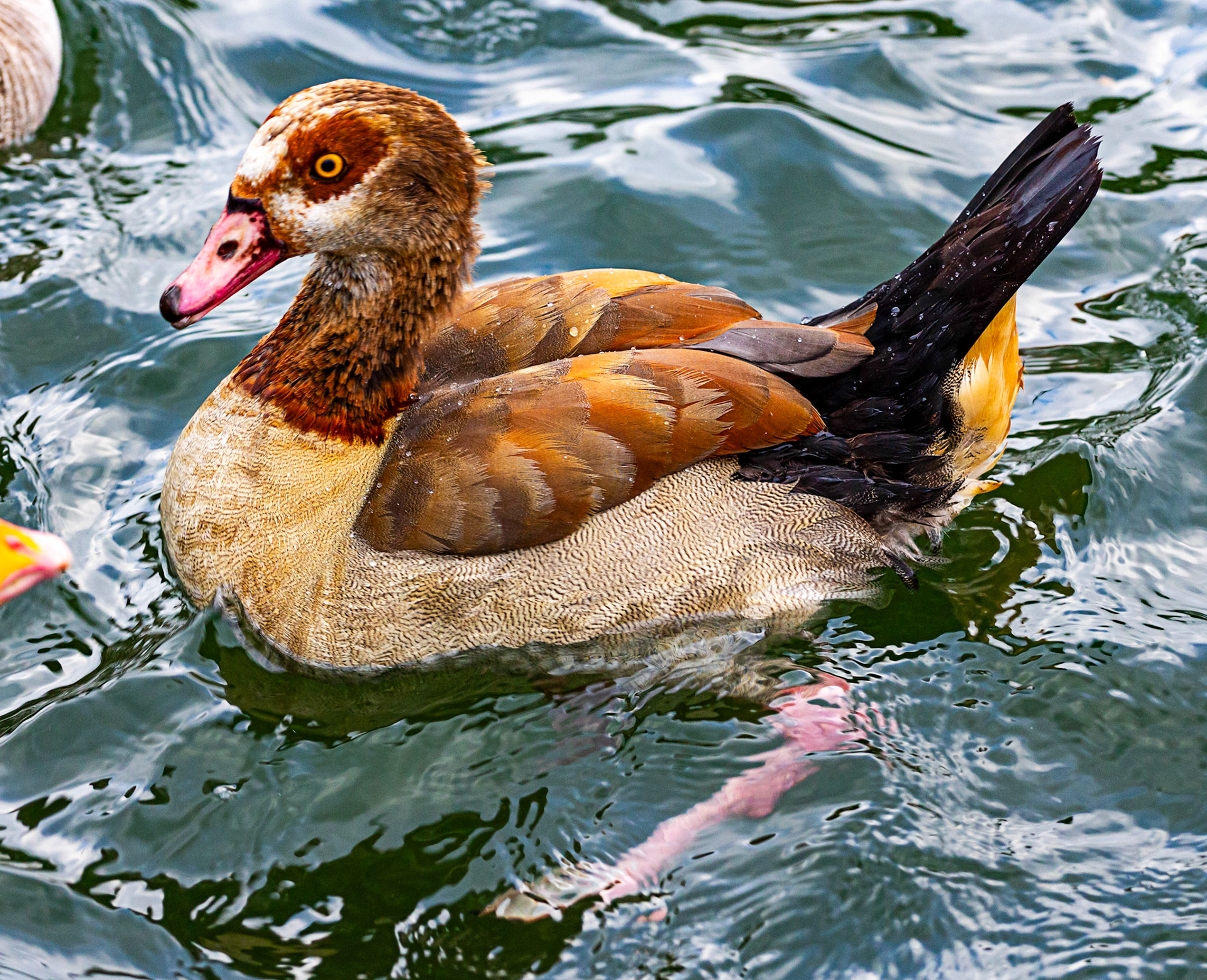 Reading 07 June 2024