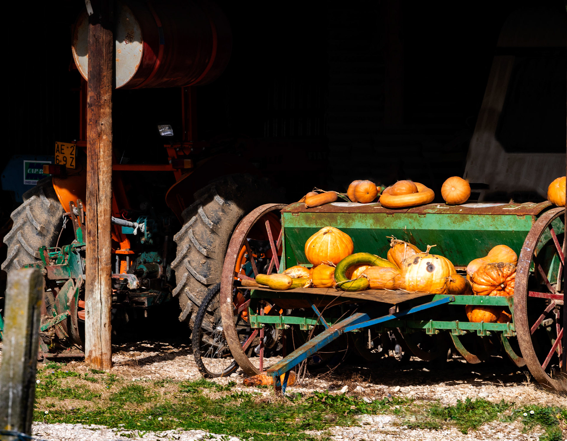 Urbisaglia 03 Feb 2020