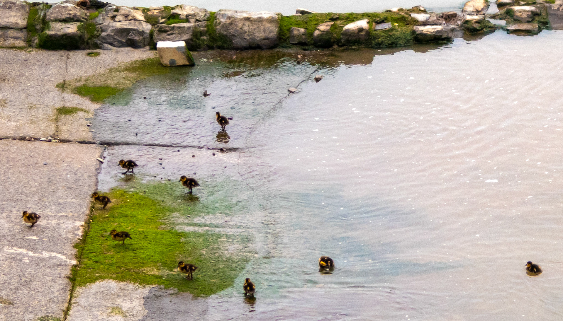 Watchet 27 June 2023