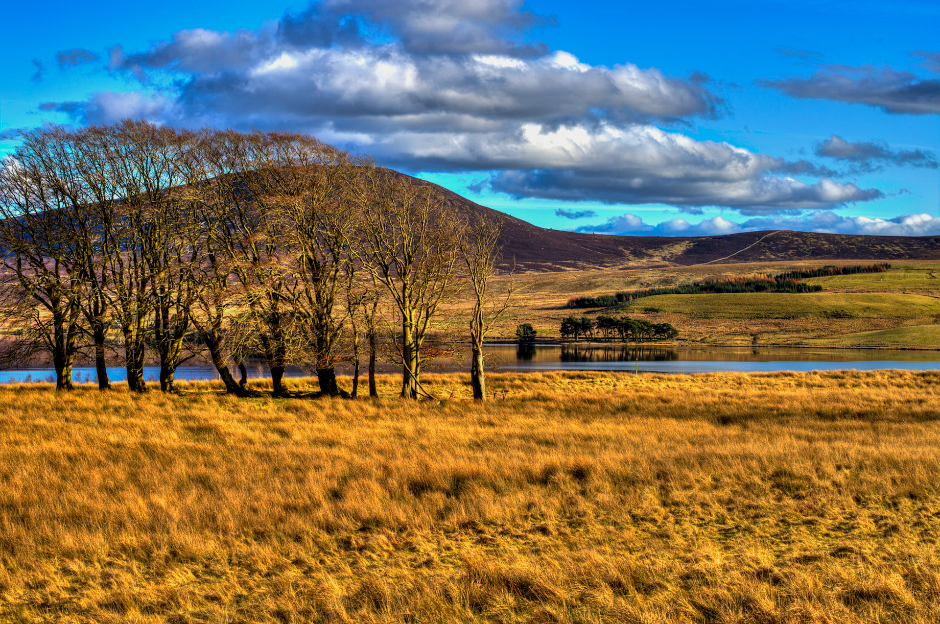 Harperrig Reservoir 26 Feb 2024