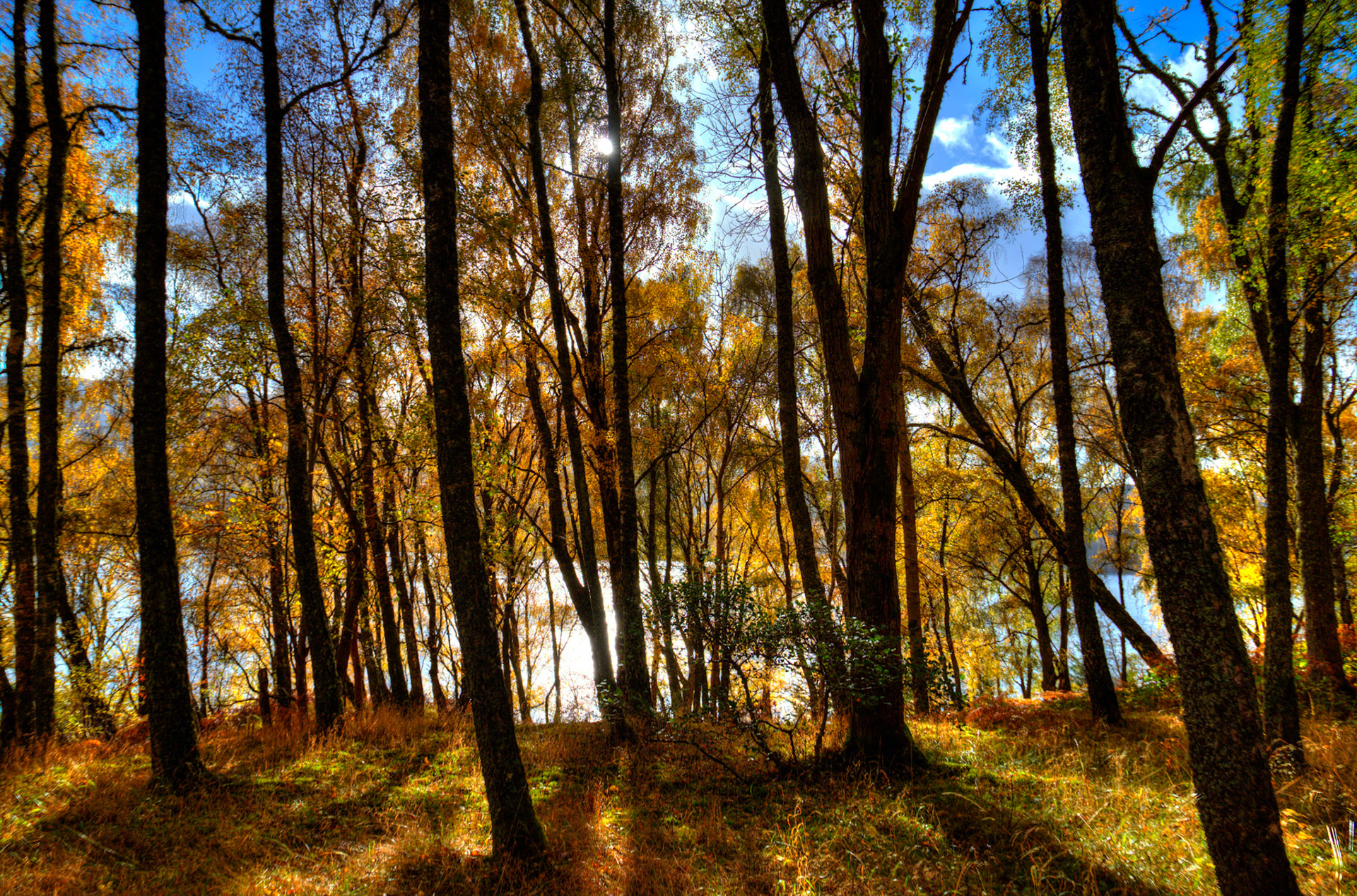 Loch Tummel. Autumnal Tour around Perthshire 19 October 2024