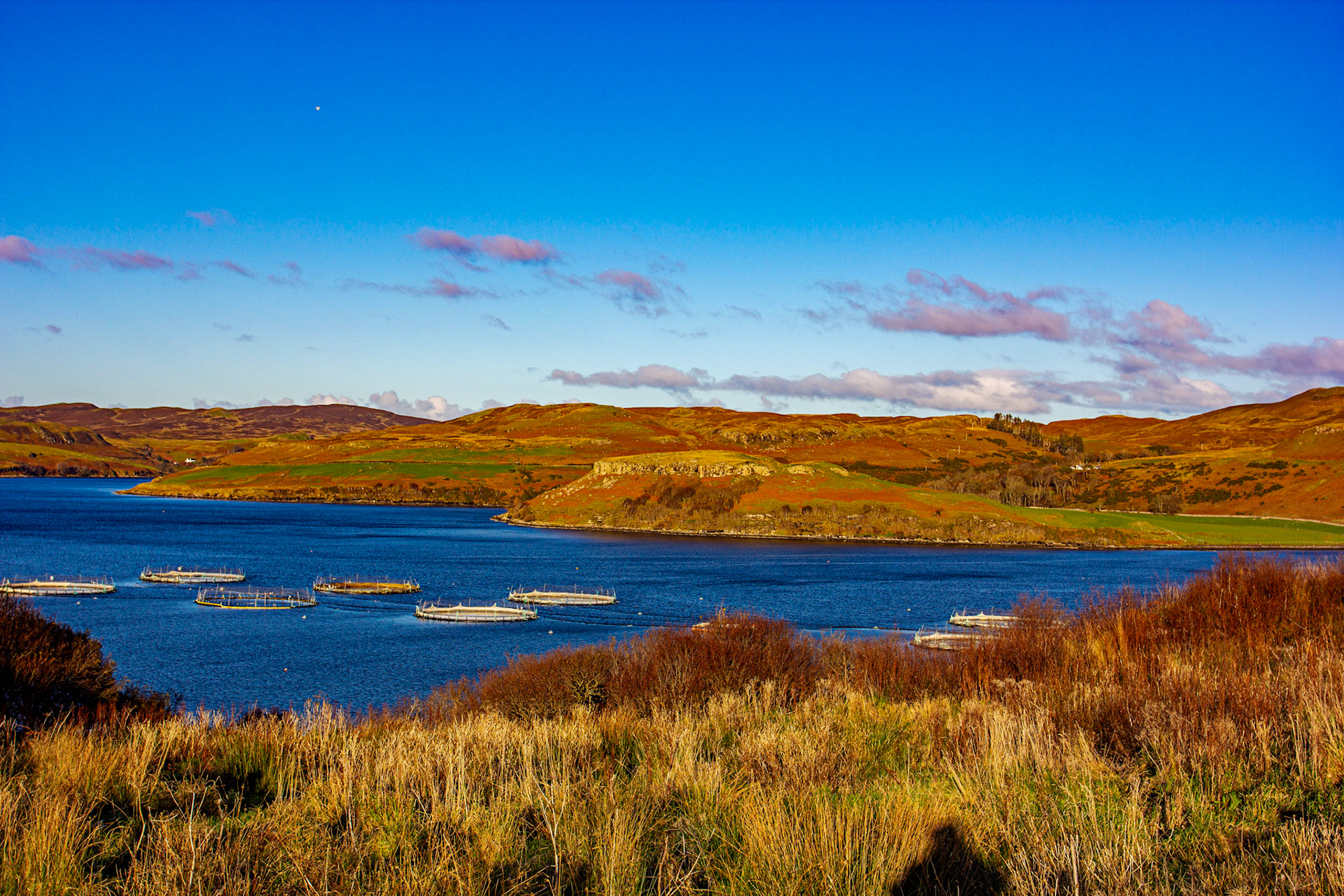 Skye 14 November 2025