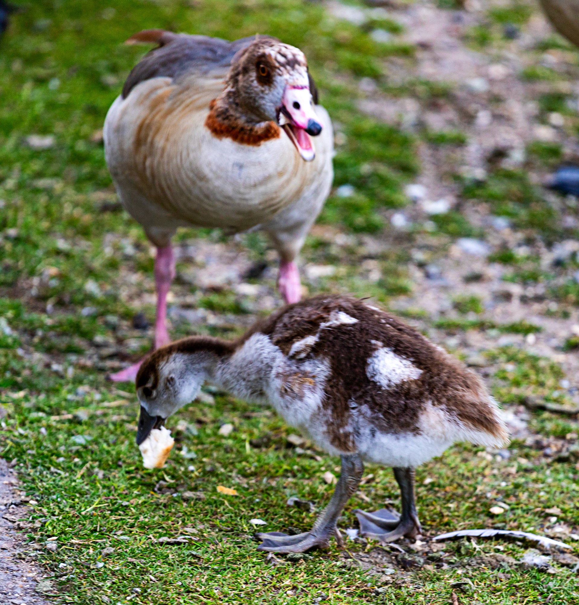Reading 07 June 2024
