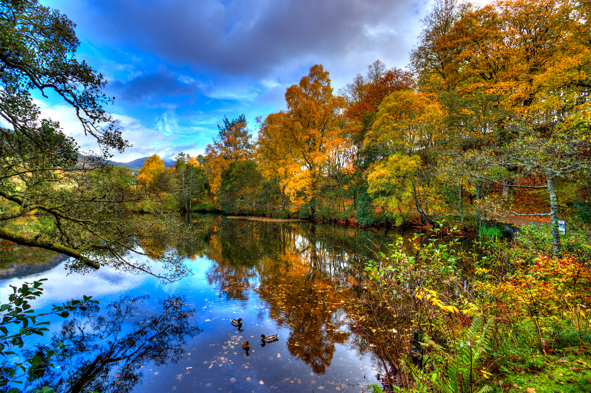 The Cuilc, Pitlochry. Autumnal Tour around Perthshire 19 October 2024