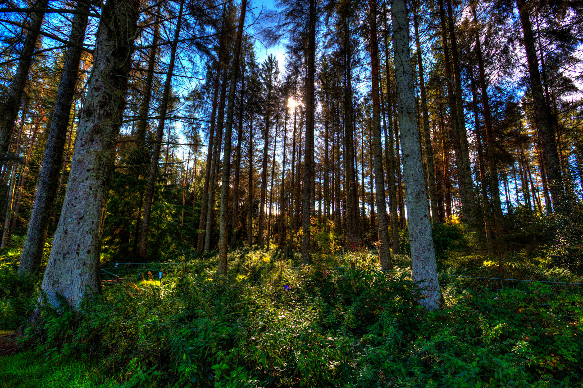 Beecraigs 24 Sept 2025