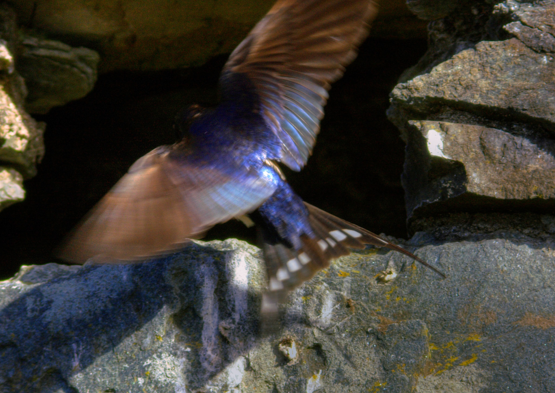 Kilchurn Castle Please see my other Photographs at: http://www.jamespdeans.co.uk/