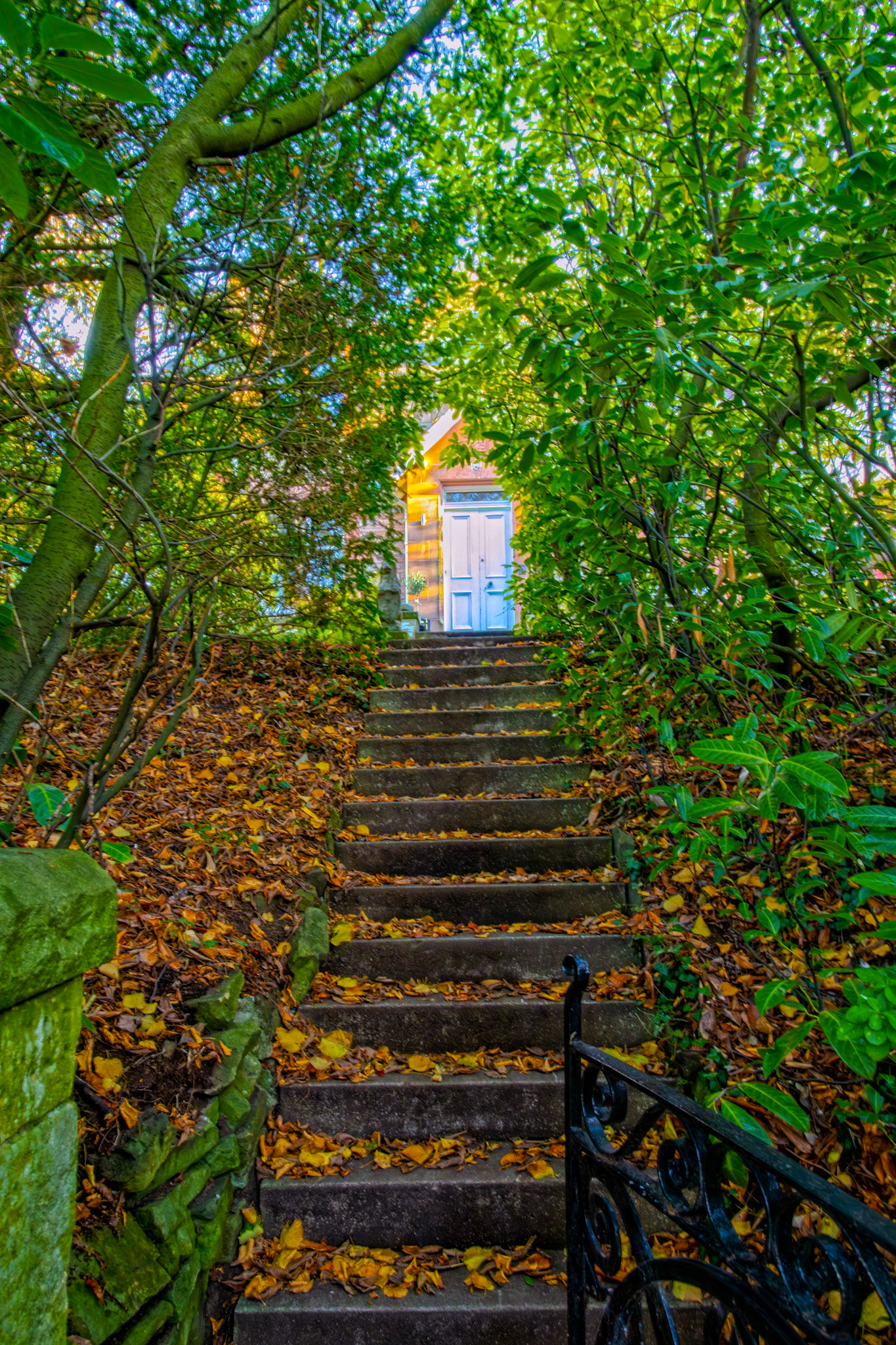 Colinton 27 October 2025