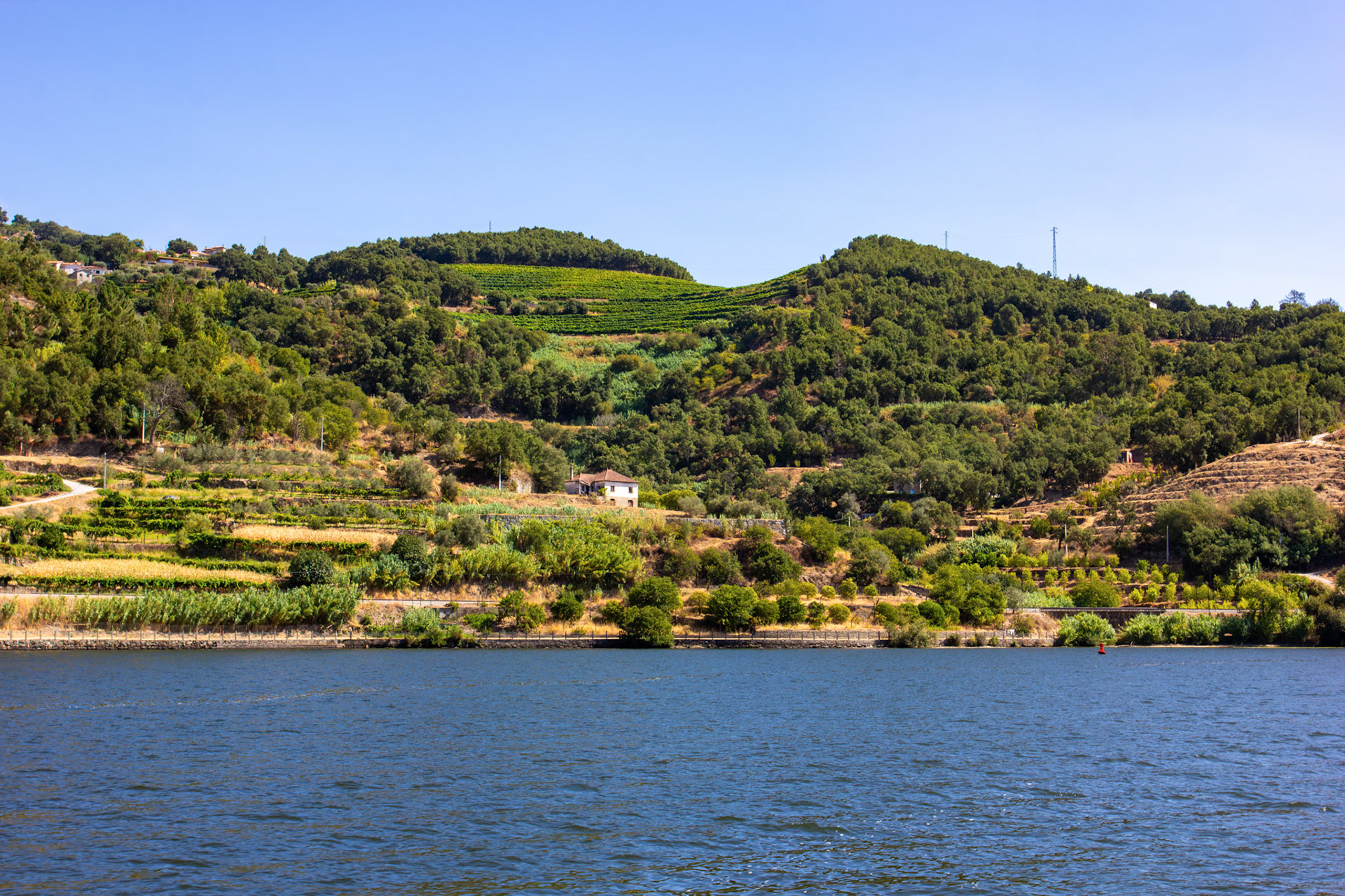 Douro cruise 21 August 2026