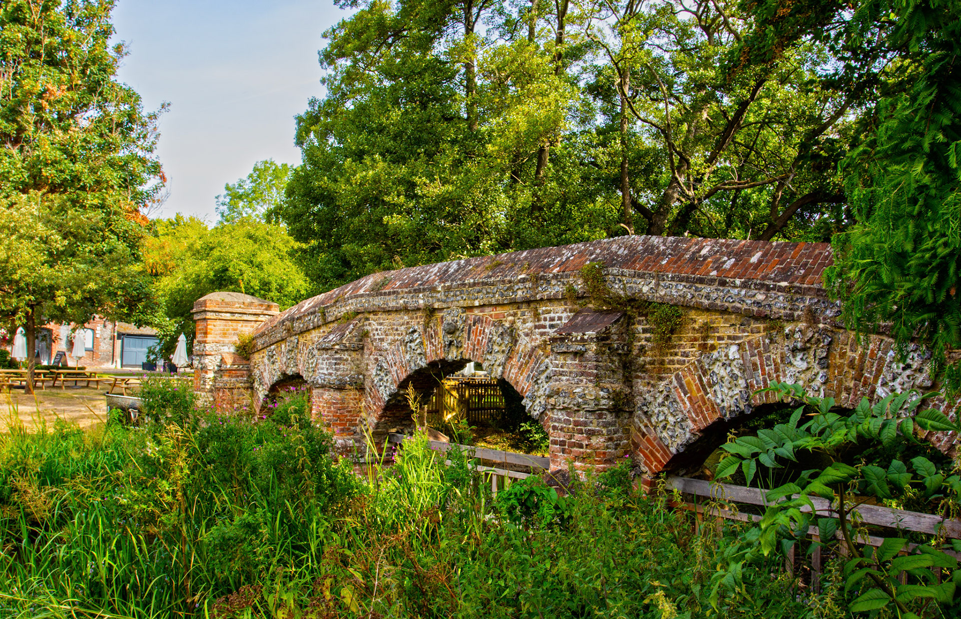Farningham Kent 23 Aug 2025