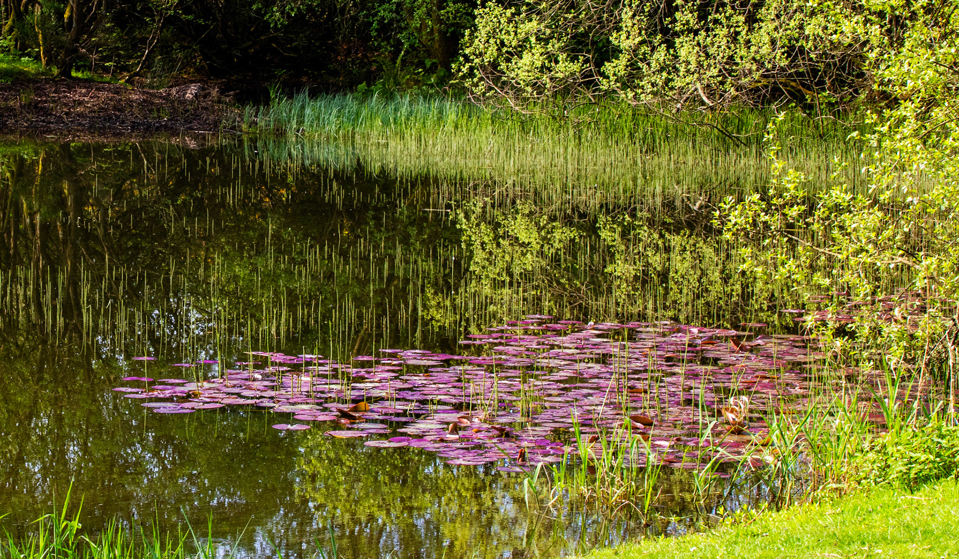 Kinross Fishery 11 May 2024