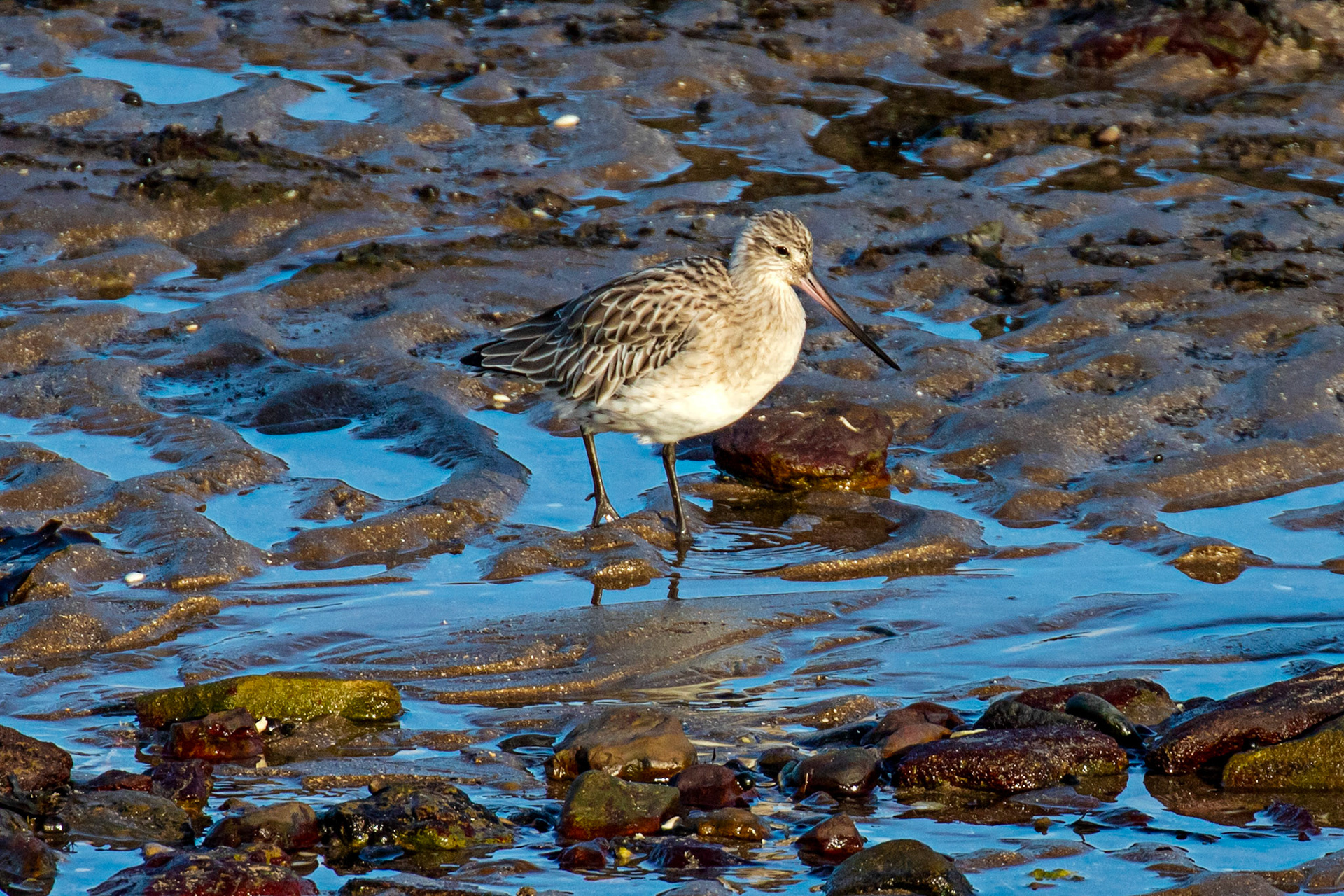 Port Seton 18 November 2024