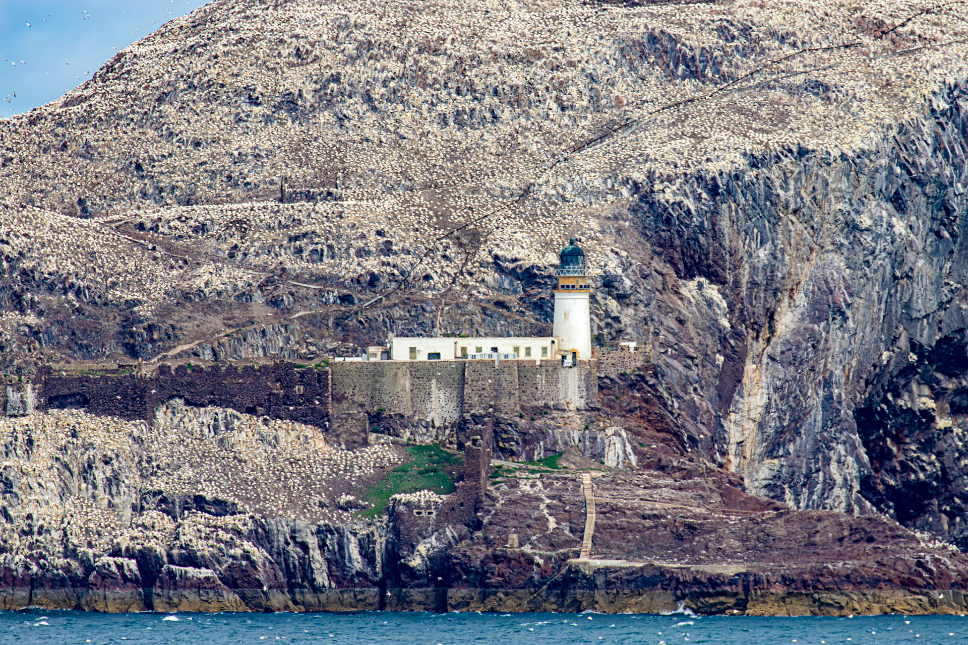 Bass Rock viewed from Tantallon Castle 04 July 2026