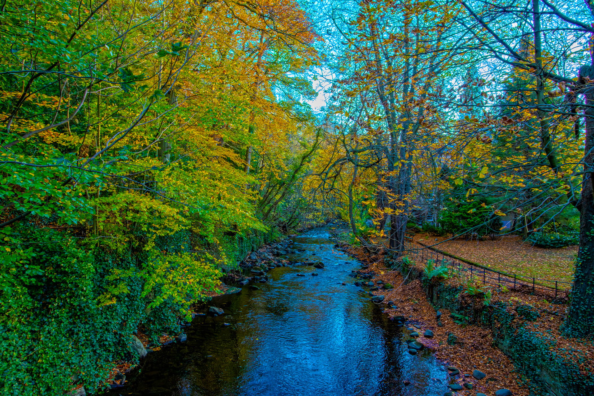 Water of Leith - Colinton 27 October 2025