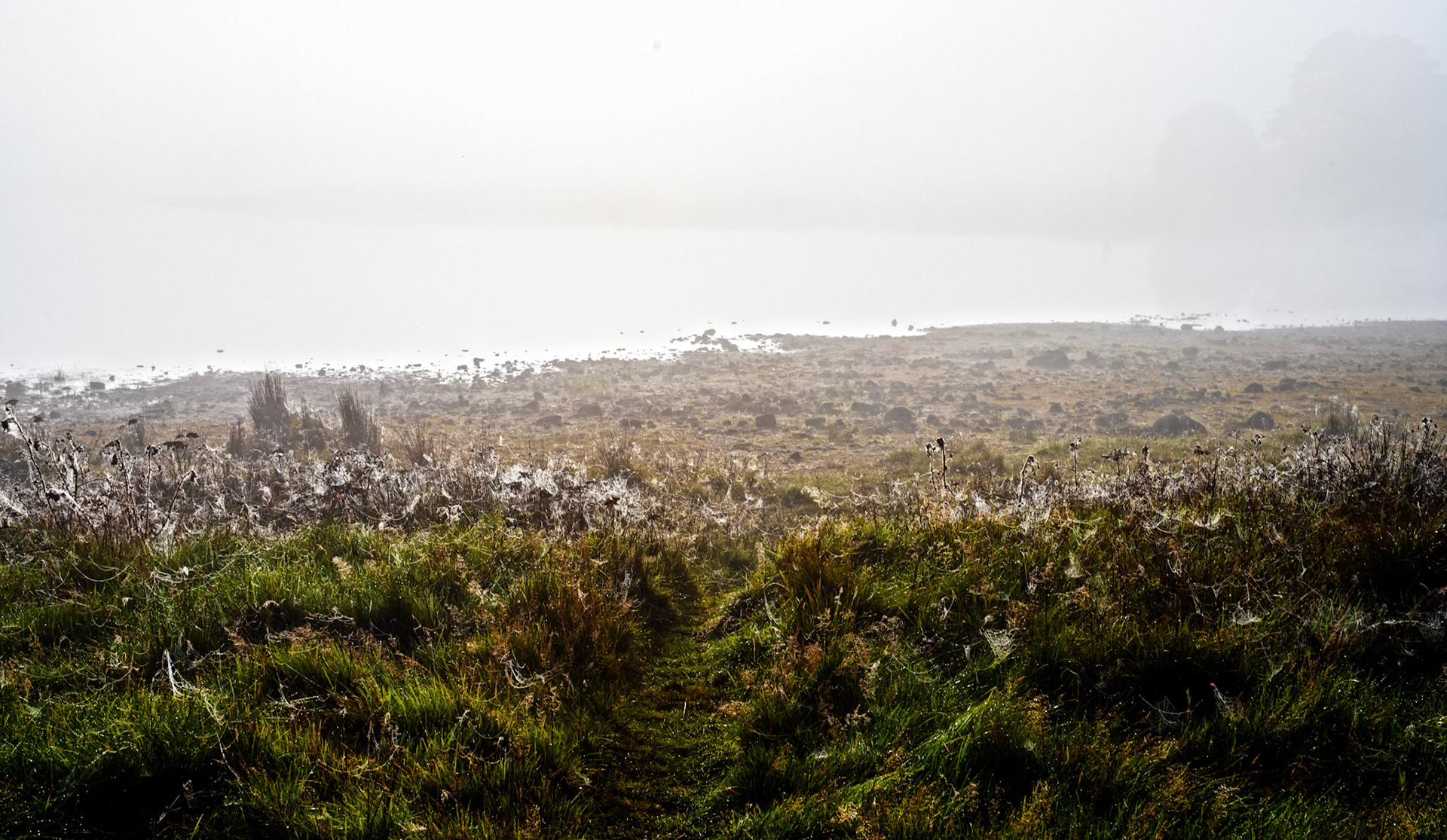 Fog @ Harperrig 08 Septemer 2023