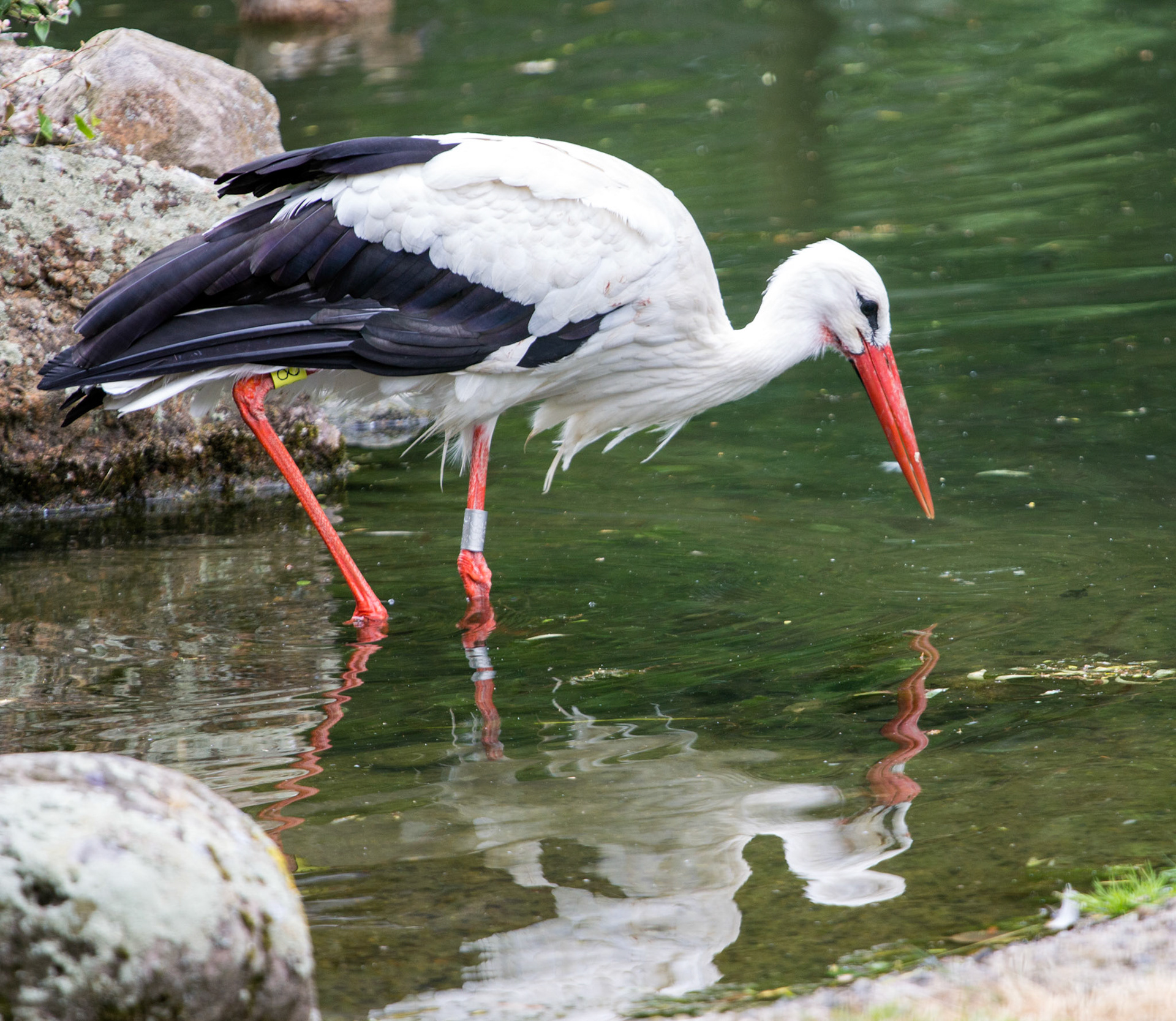 CernayPlease see my other Photographs at: http://www.jamespdeans.co.uk/