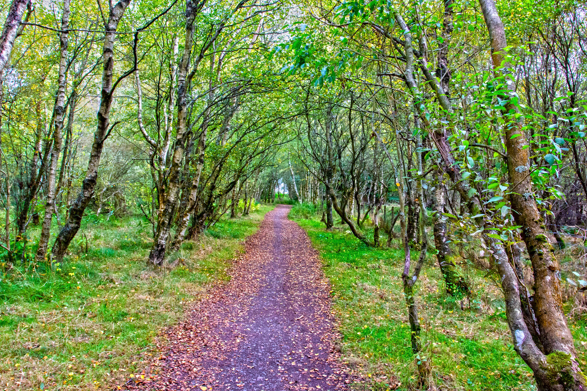 Bavelaw 24 Sept 2025