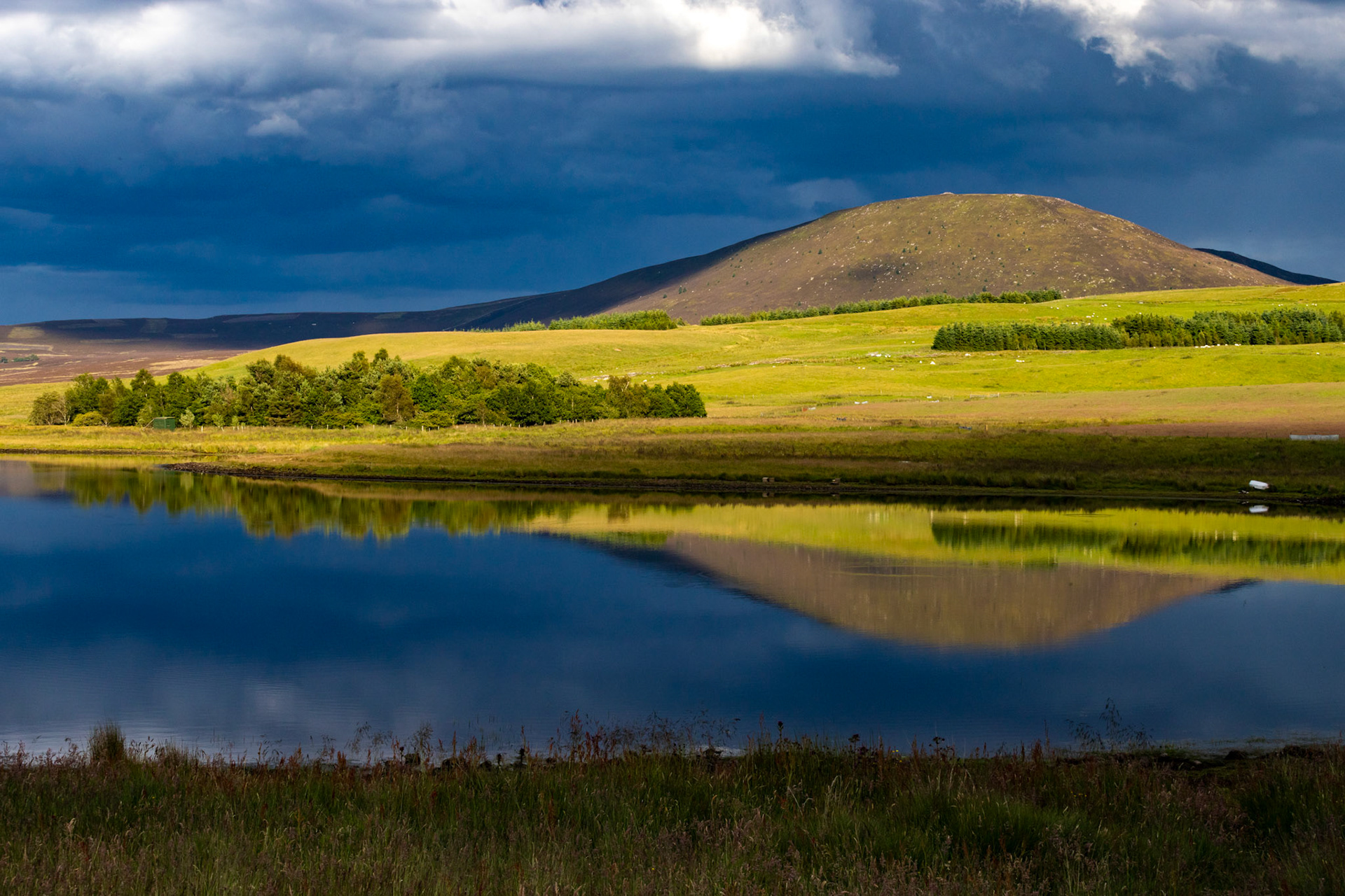 Harperrig 08 July 2024