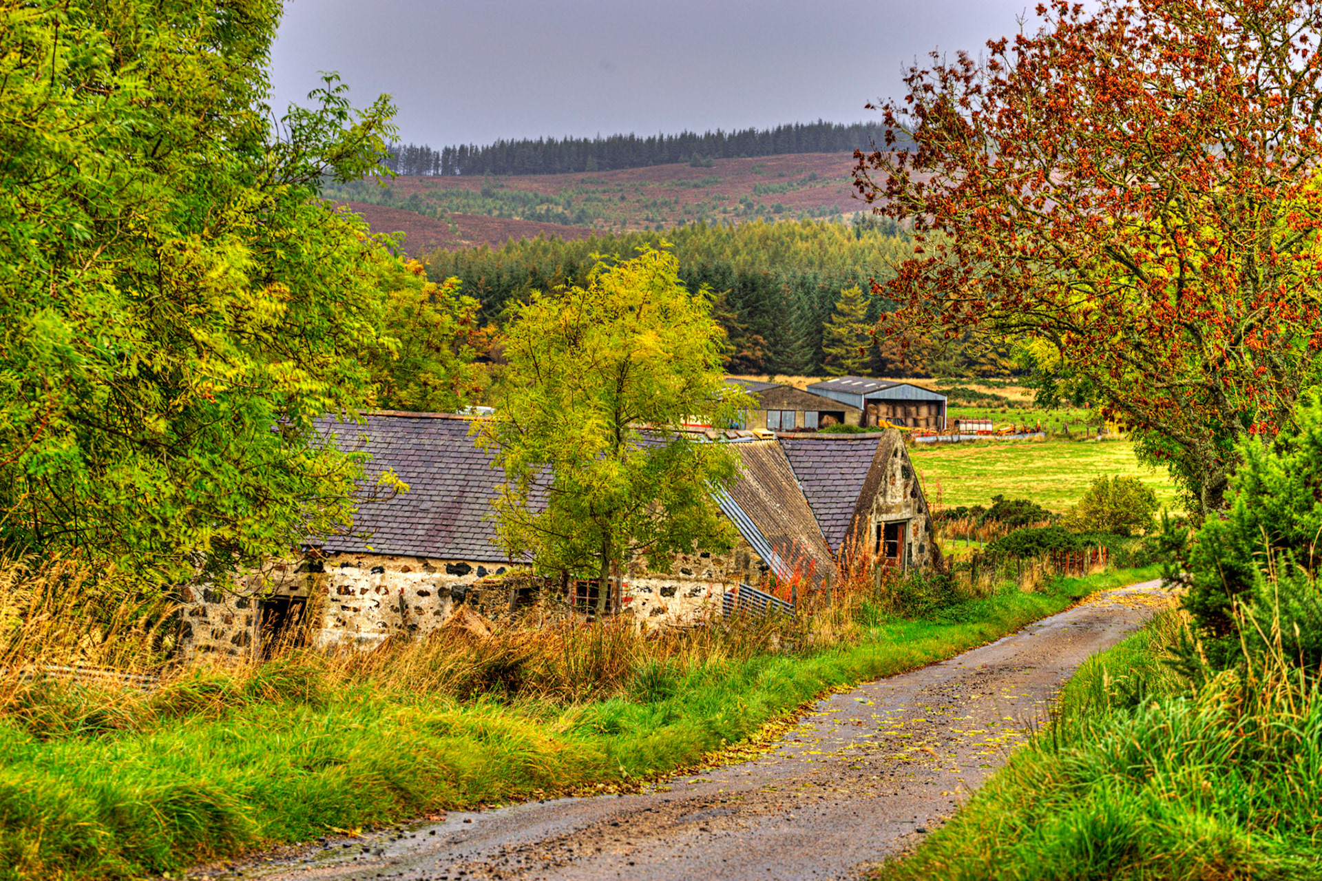 Autumn in Aberdeenshire 14 to 16 October 2022