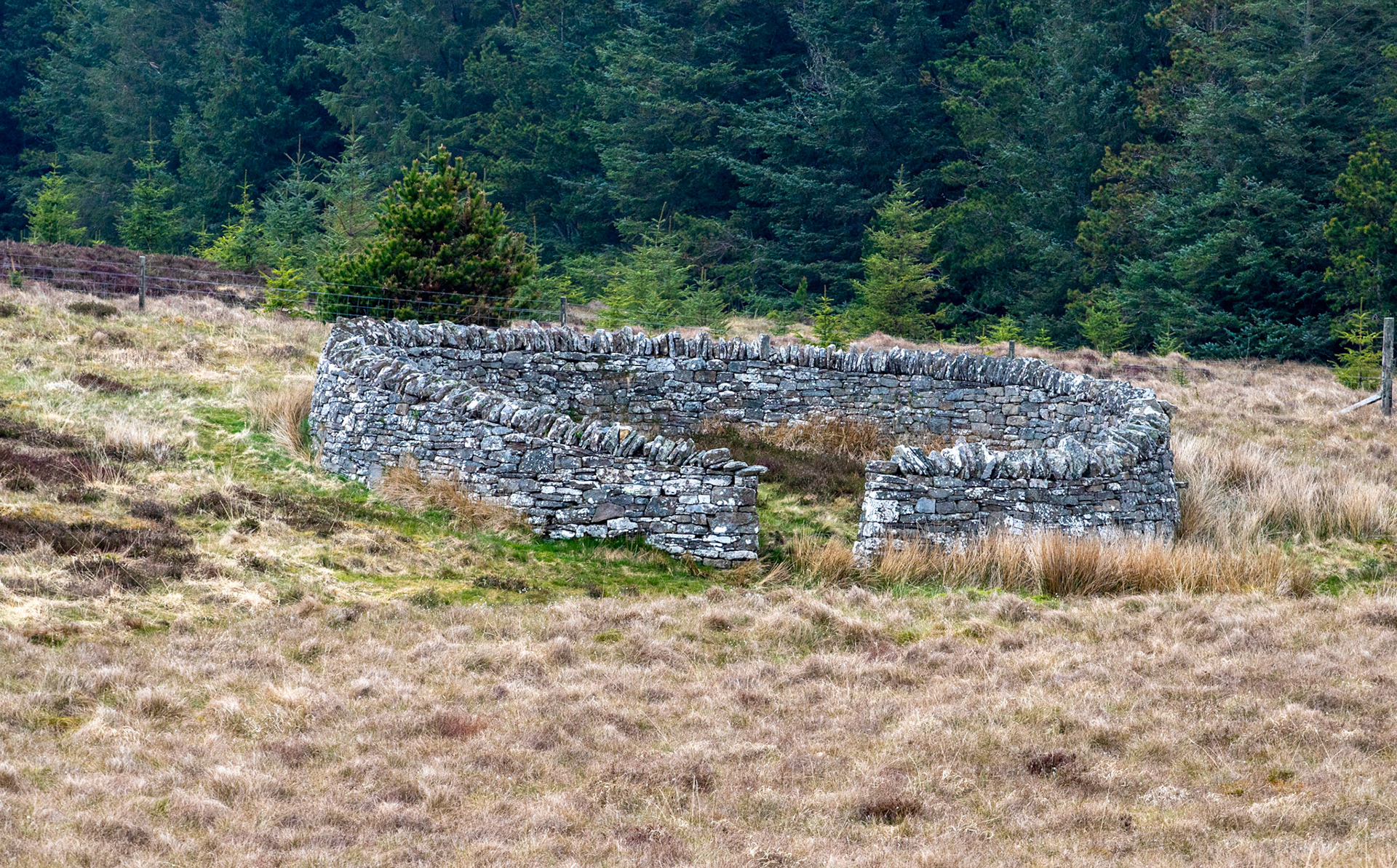 Grey Cairns of Camster 05 May 2024