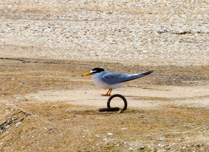 Eastern AlgarvePlease see my other Photographs at: http://www.jamespdeans.co.uk/