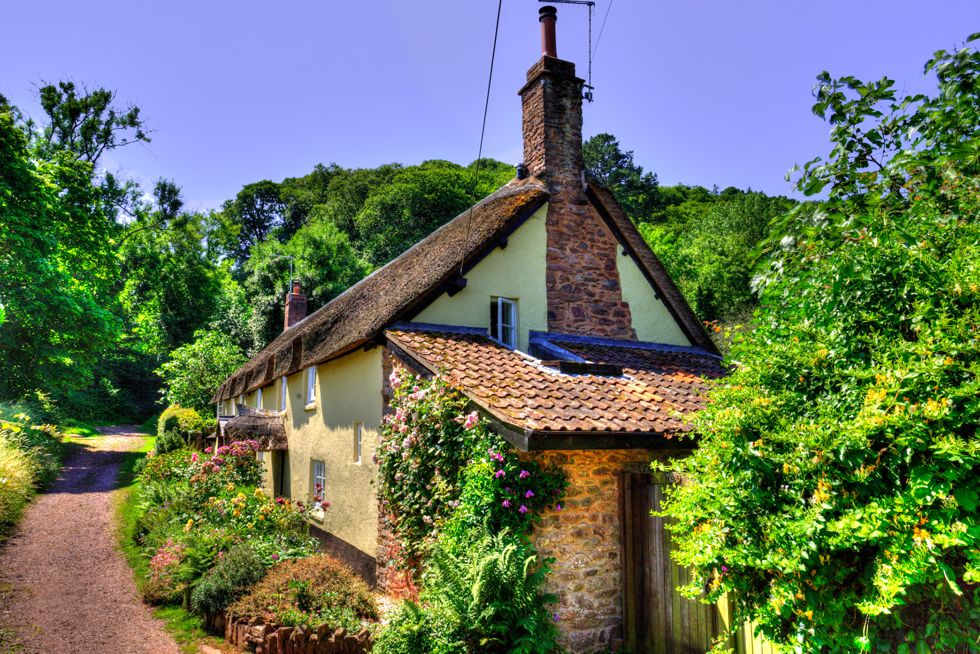 Dunster 22 June 2023