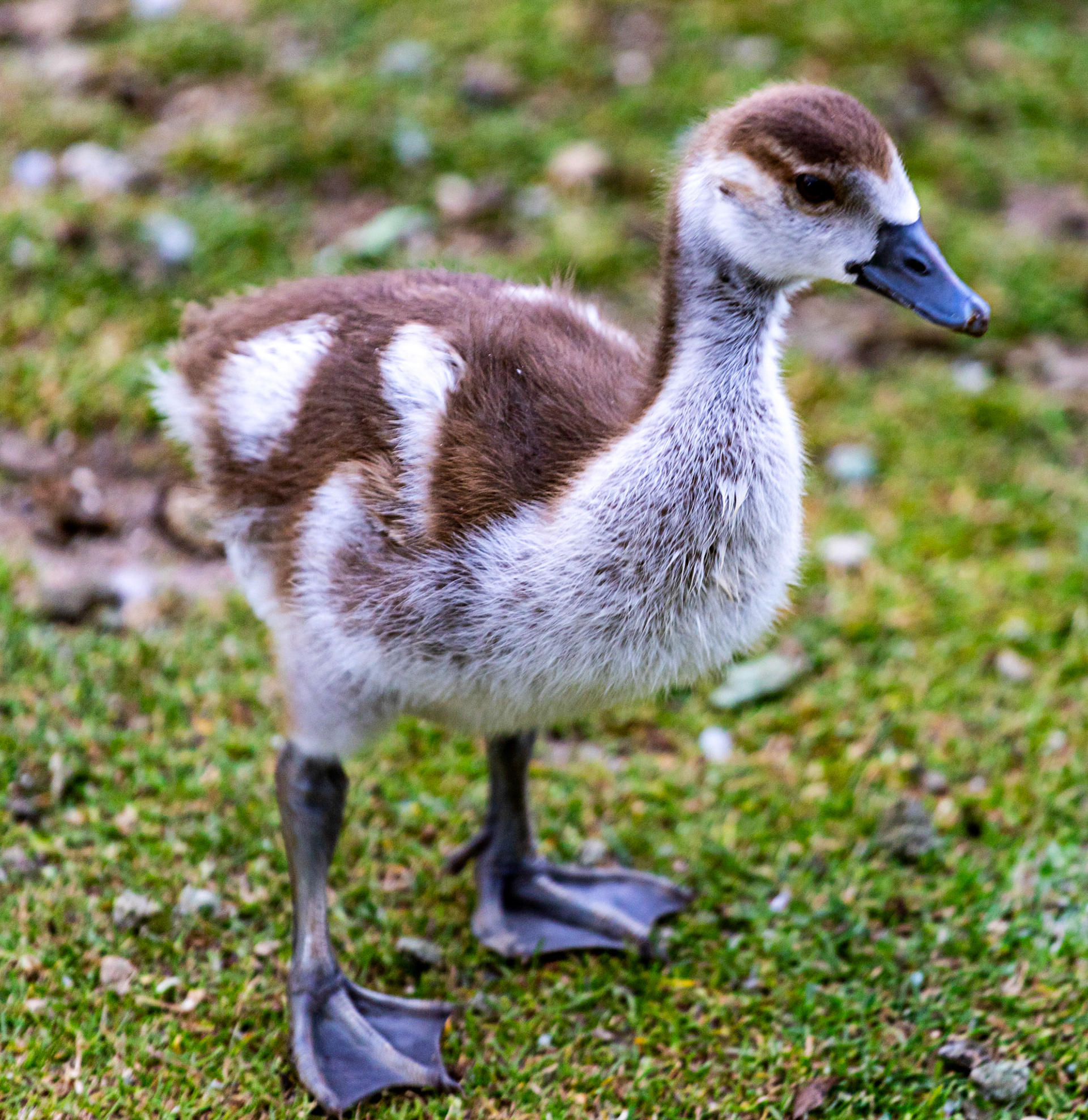 Reading 07 June 2024