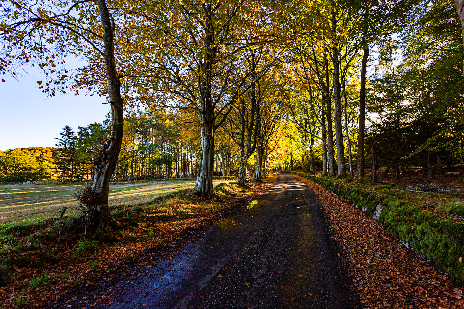 Autumn in Aberdeenshire 14 to 16 October 2022