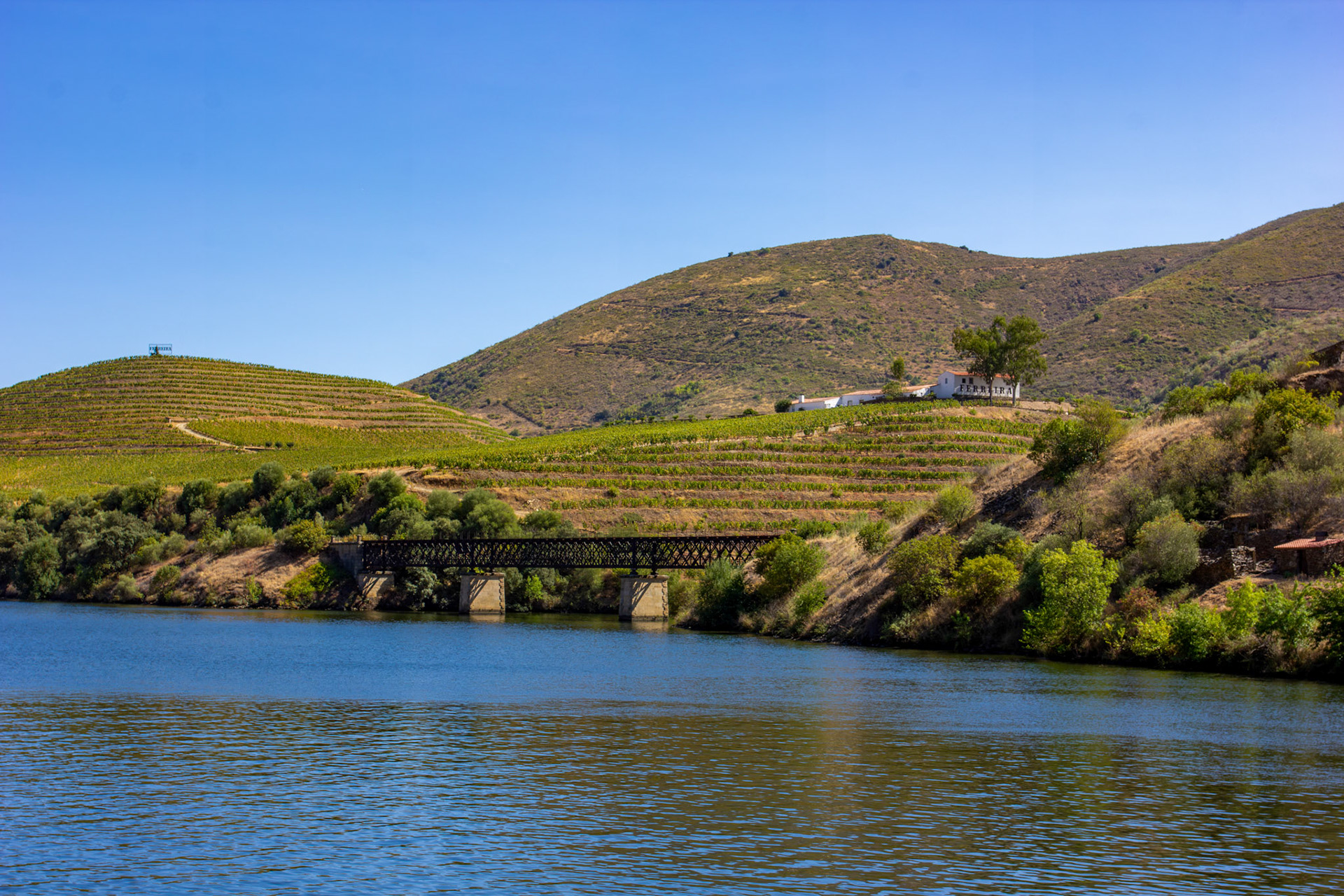 Douro cruise 22 August 2026