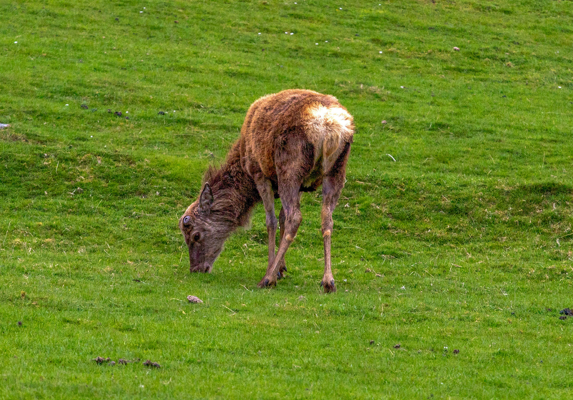 Strath Ullie 05 May 2024