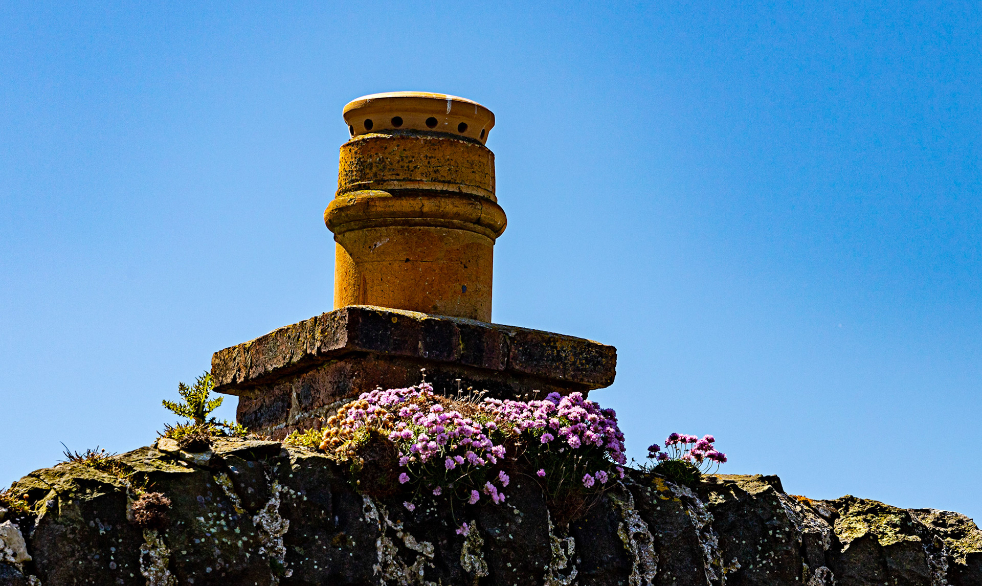 Isle of May - 04 June 2022