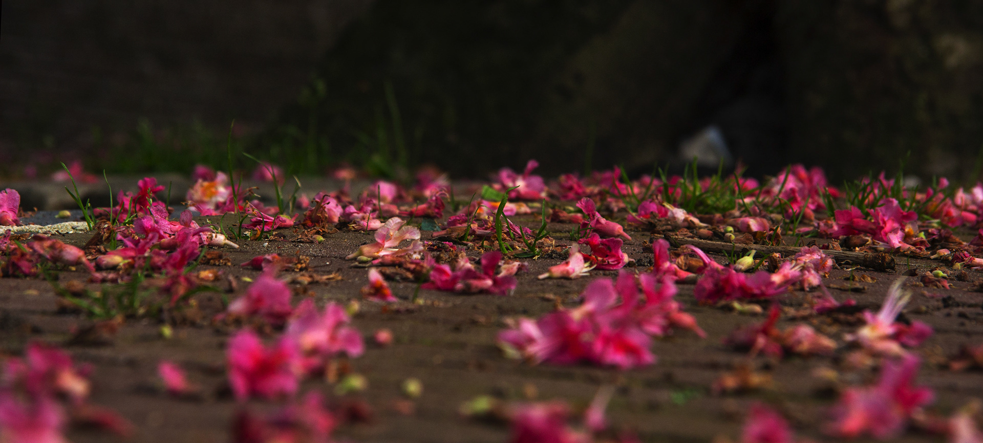 AmersfoortPlease see my other Photographs at: http://www.jamespdeans.co.uk/